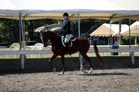 DAHA_Spring21_Sun_4435