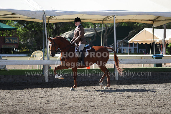 DAHA_Spring21_Sun_4425