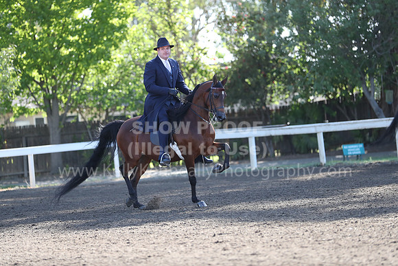 DAHA_Spring21_Sun_4235