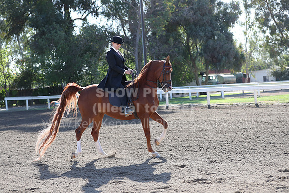DAHA_Spring21_Sun_4238