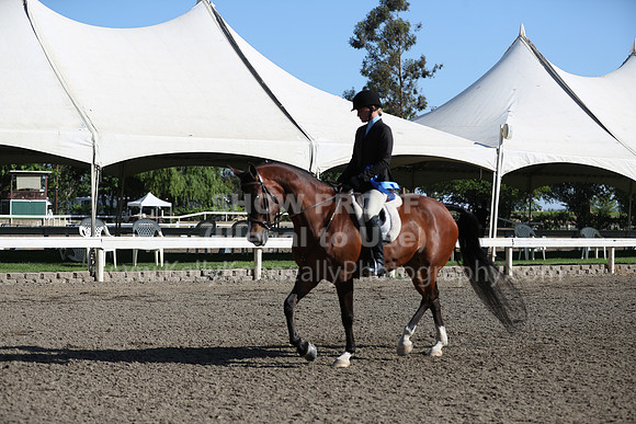 DAHA_Spring21_Sun_4212
