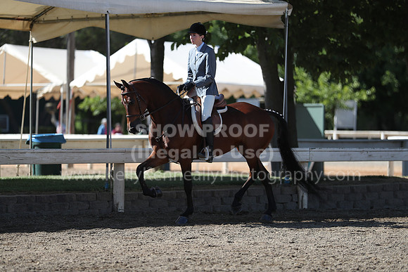 DAHA_Spring21_Sun_4439