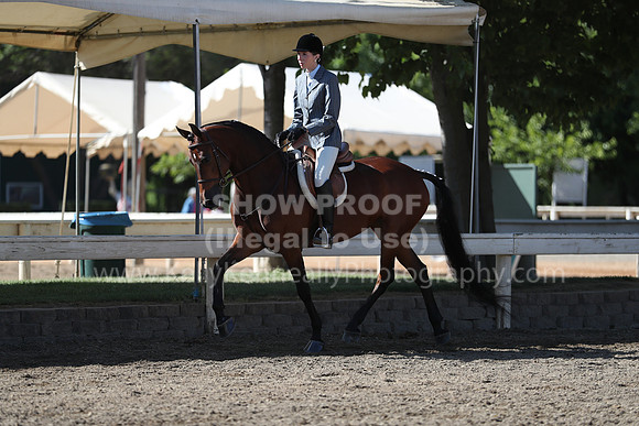 DAHA_Spring21_Sun_4440