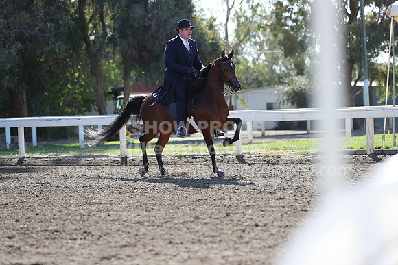 DAHA_Spring21_Sun_4245