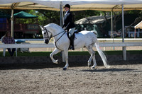 DAHA_Spring21_Sun_4449
