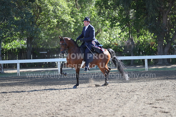 DAHA_Spring21_Sun_4248