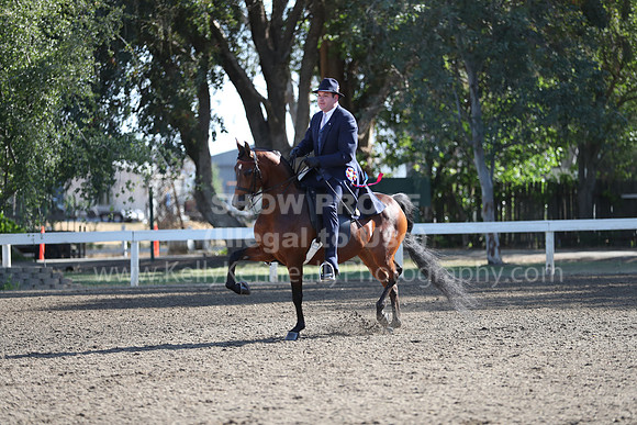 DAHA_Spring21_Sun_4249