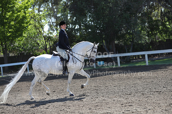 DAHA_Spring21_Sun_4465