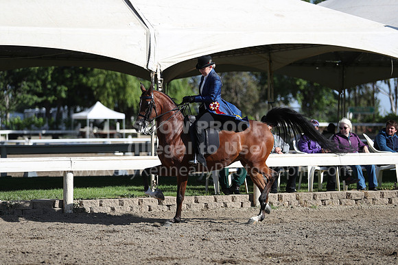 DAHA_Spring21_Sun_4268