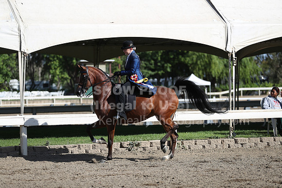 DAHA_Spring21_Sun_4273