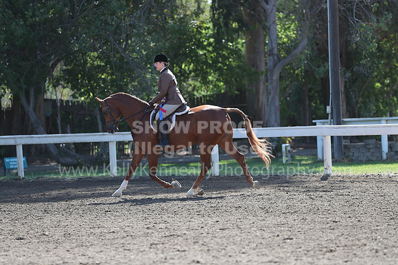 DAHA_Spring21_Sun_4485