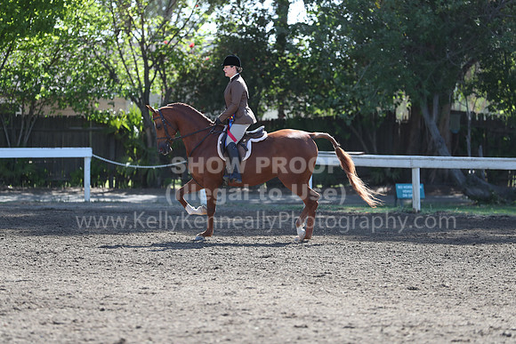 DAHA_Spring21_Sun_4487