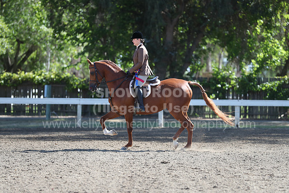 DAHA_Spring21_Sun_4497