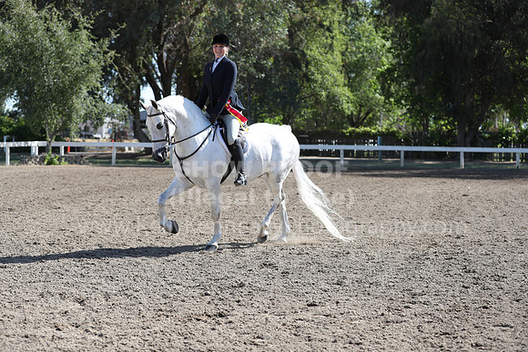 DAHA_Spring21_Sun_4516