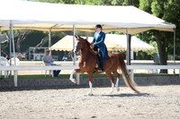 DAHA_Spring21_Sun_4687