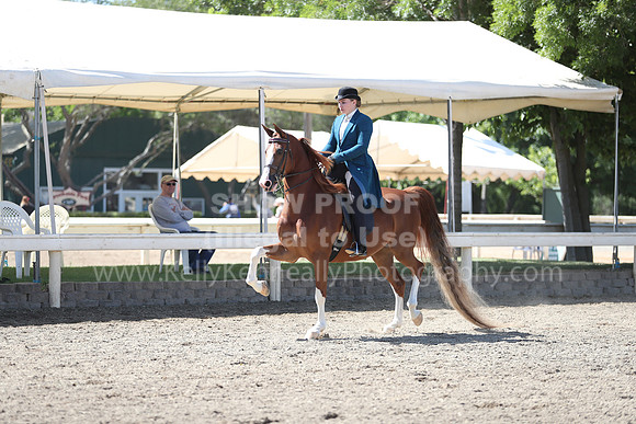 DAHA_Spring21_Sun_4687