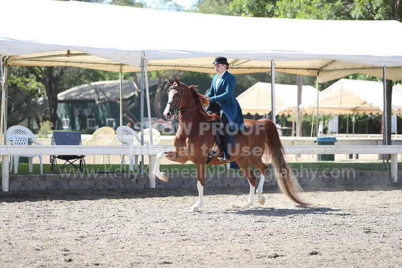 DAHA_Spring21_Sun_4688