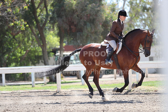 DAHA_Spring21_Sun_4864