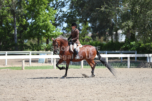 DAHA_Spring21_Sun_4859