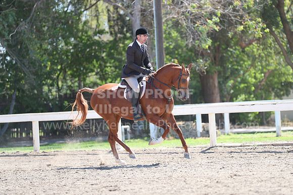 DAHA_Spring21_Sun_4865
