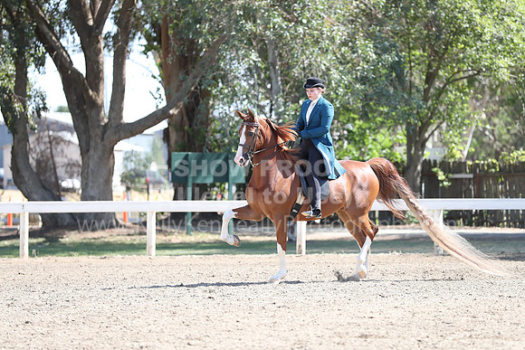 DAHA_Spring21_Sun_4696