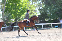 DAHA_Spring21_Sun_4735