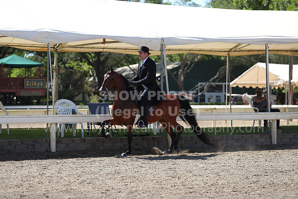 DAHA_Spring21_Sun_4917