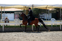 DAHA_Spring21_Sun_4921