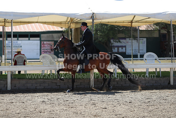 DAHA_Spring21_Sun_4921