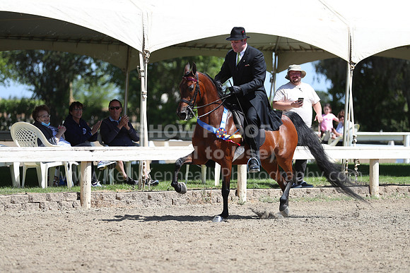 DAHA_Spring21_Sun_4934