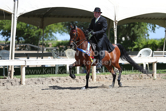 DAHA_Spring21_Sun_4938