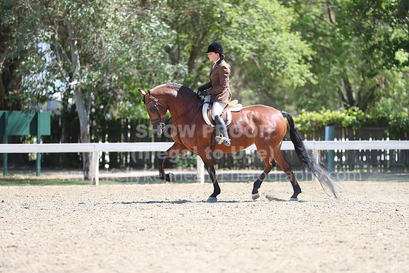 DAHA_Spring21_Sun_4870