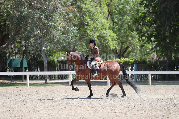 DAHA_Spring21_Sun_4880
