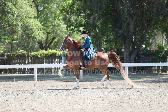 DAHA_Spring21_Sun_4711