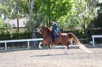 DAHA_Spring21_Sun_4708