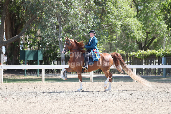 DAHA_Spring21_Sun_4712
