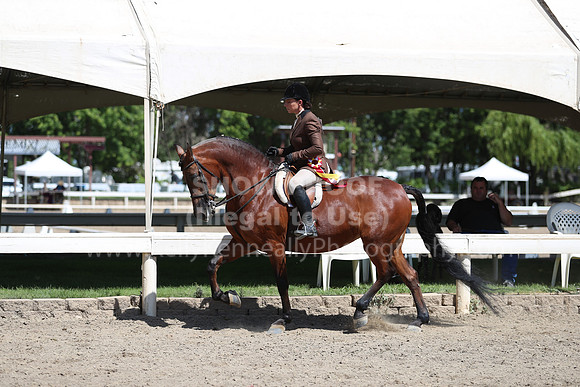 DAHA_Spring21_Sun_4892