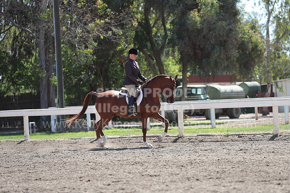 DAHA_Spring21_Sun_4750