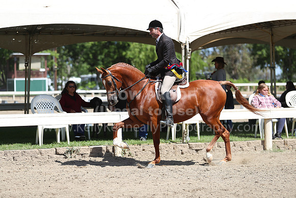 DAHA_Spring21_Sun_4908