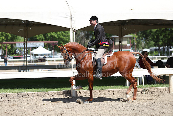 DAHA_Spring21_Sun_4910