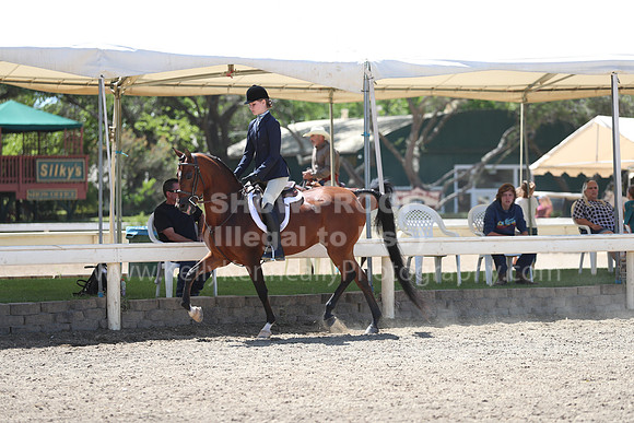 DAHA_Spring21_Sun_5125