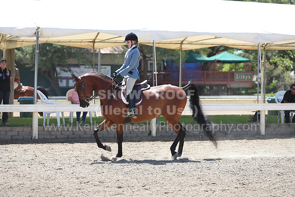 DAHA_Spring21_Sun_5127