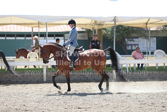 DAHA_Spring21_Sun_5129