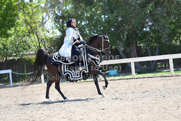 DAHA_Spring21_Sun_4967