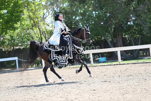 DAHA_Spring21_Sun_4966