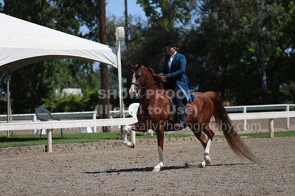 DAHA_Spring21_Sun_5020