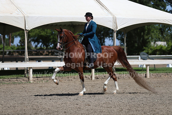 DAHA_Spring21_Sun_5021