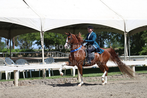 DAHA_Spring21_Sun_5036