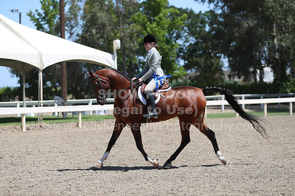DAHA_Spring21_Sun_5139