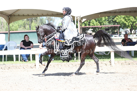 DAHA_Spring21_Sun_4984